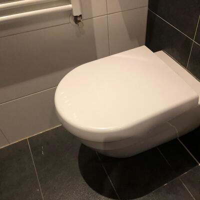 Toiletpot en toiletbril vervangen (speciale sleutel voor nodig) 