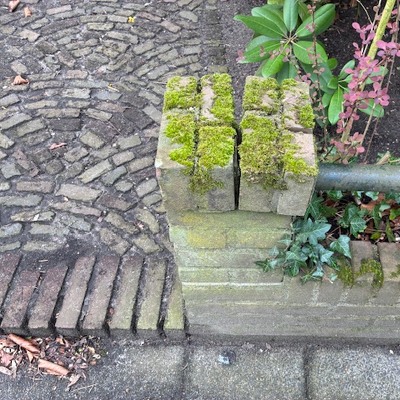 Metselwerk tuinafscheiding is deels kapotgedrukt voor honderd jaar oude boom. Dient te worden hersteld.  Afscheiding ter hoogte van de boom inkorten zodat deze meer ruimte heeft om  door te groeien. Metselstenen zijn aanwezig - zelfde soort en kleur -.  h