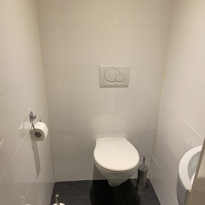 Inbouwframe toilet vervangen