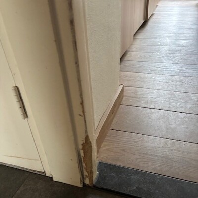 Plank is onder de vensterbank vandaan gevallen. Graag muur vullen, en plint tegenaan plakken.  In de gang graag de hoeken netjes maken, heeft hond als pup aan geknaagd.