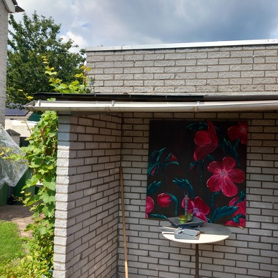  2 gordijnrails vastzetten , buitenlamp repareren , goot en afdak repareren, spoel drukknop van toilet reparen