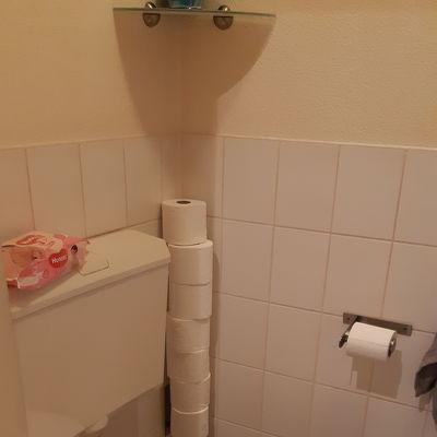 Huidige toilet moet eruit, muren betegelen en inbouw toilet plaatsen