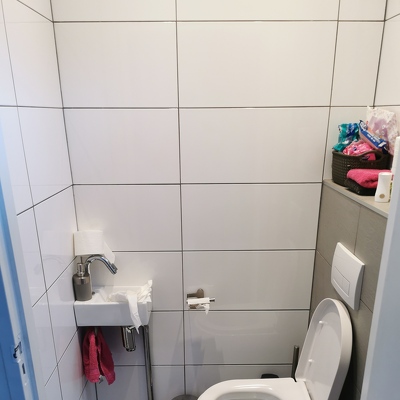 Dubbele tegellaag verwijderen in de wc. Plus 1 houten wand doorbreken (2m2). Dubbele tegellaag verwijderen in de bijkeuken plus houten wand weghalen (ivm vergroten bijkeuken) Vanaf 24 januari zou er gestart kunnen worden. Aanhanger kan bij achterdeur en d