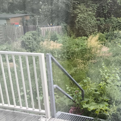 Ik heb een overwoekerde tuin welke ik graag leeg wil. De tuin is ruim 50m2